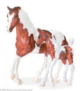 pinto-foal-mensi.jpg